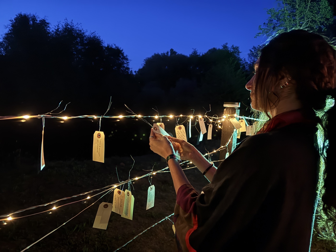 A seeker reads a tag on the web of community wisdom